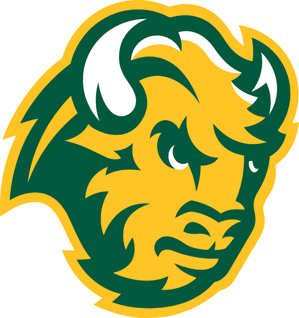 North Dakota State Bison 2012 Unused Logo DIY iron on transfer (heat transfer)